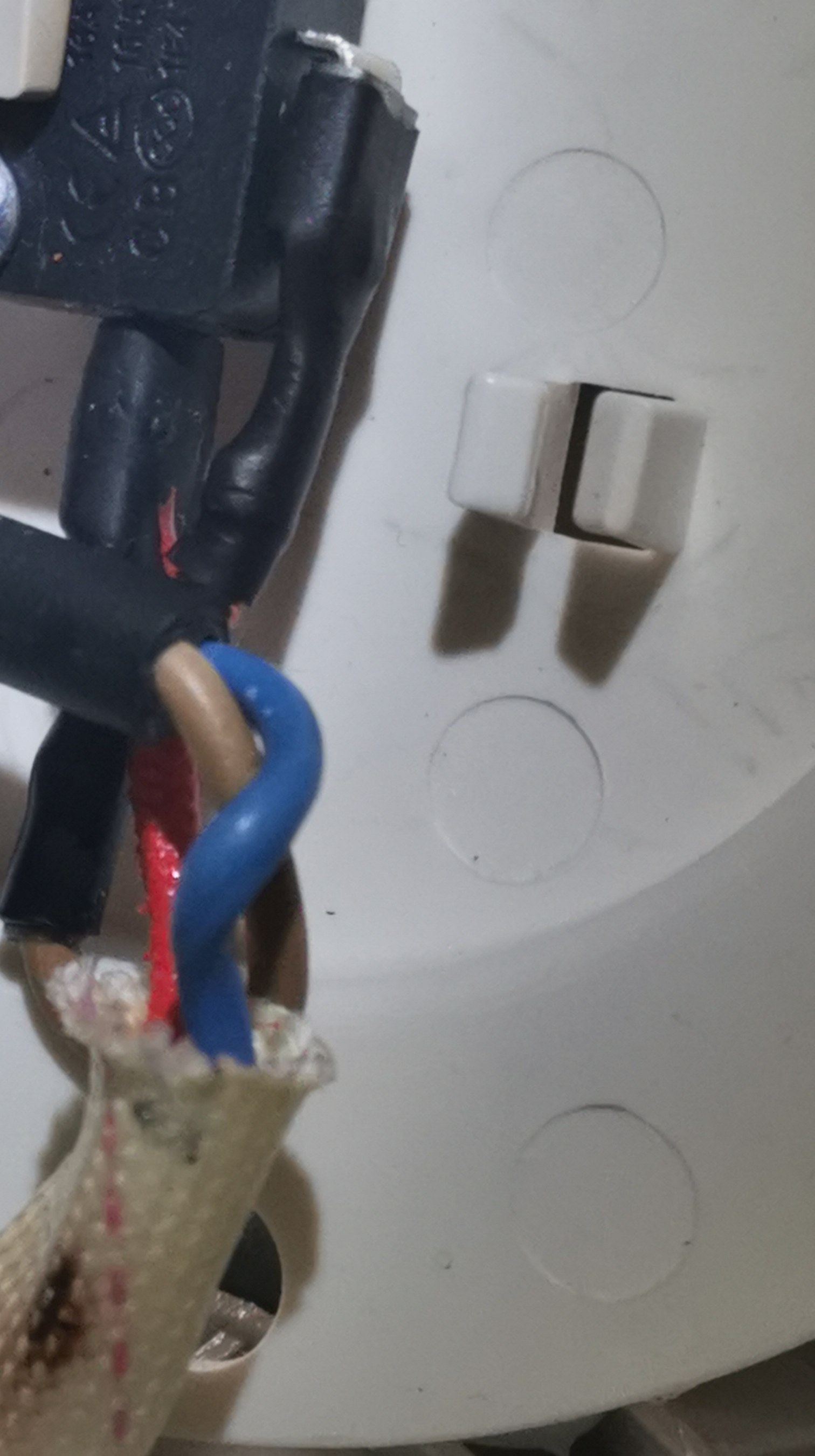 线束与护套、开关附近走线(裁切后便于看清接点区域)